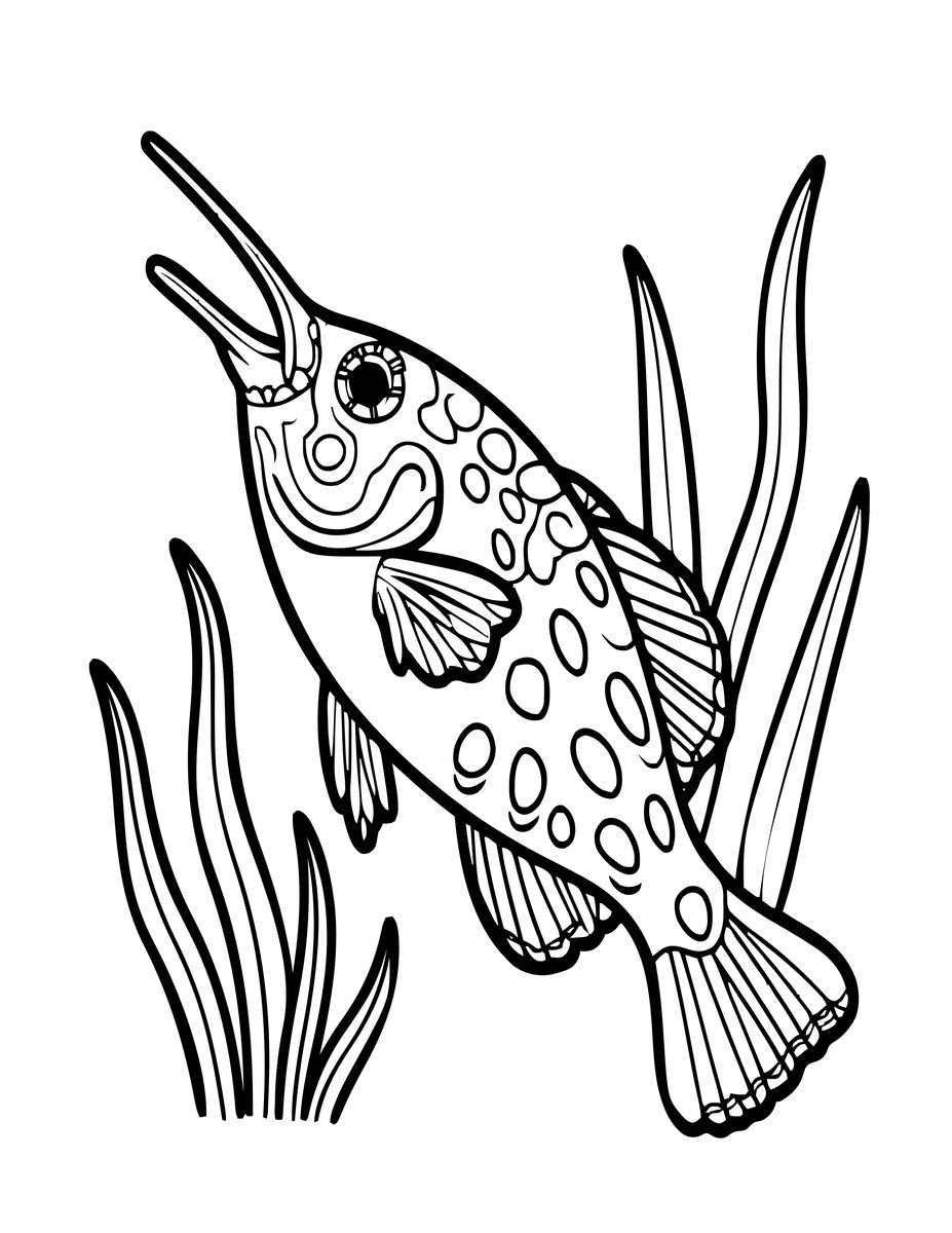 Filefish - free printable coloring page
