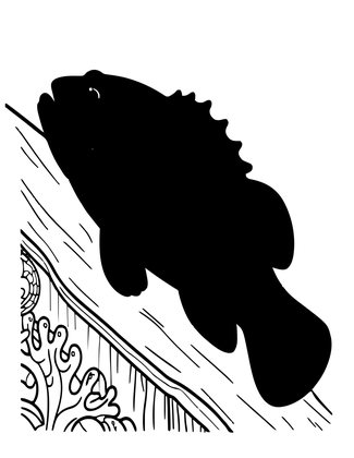 Coral Grouper - Free printable coloring page