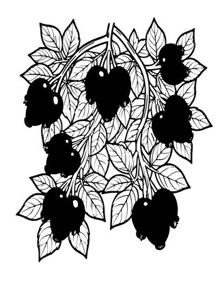 Rosehip Branches - Free printable coloring page