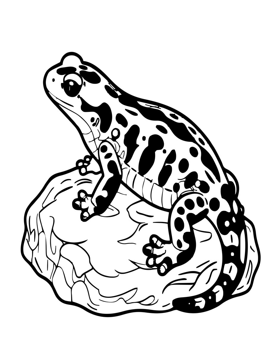 Fire Salamander - free printable coloring page