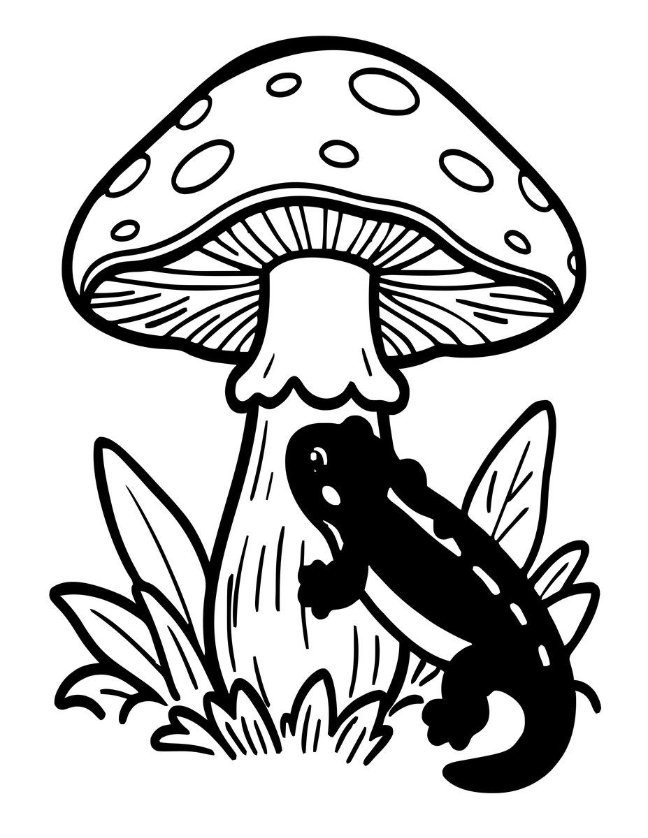 Salamander and Mushroom - free printable coloring page
