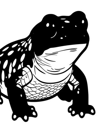 Salamander Portrait - Free printable coloring page