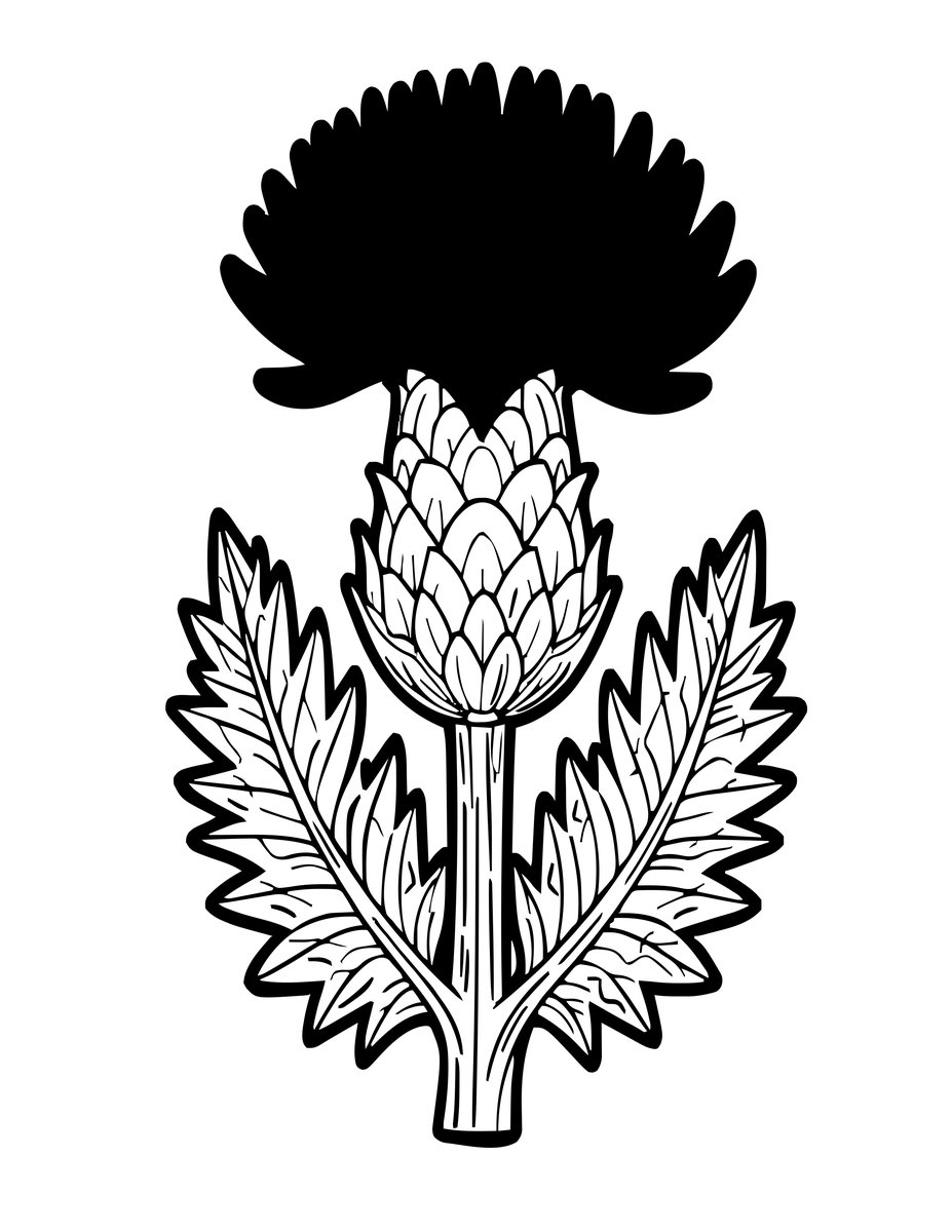 Scottish Thistle - free printable coloring page