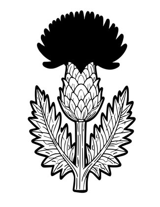 Scottish Thistle - Free printable coloring page