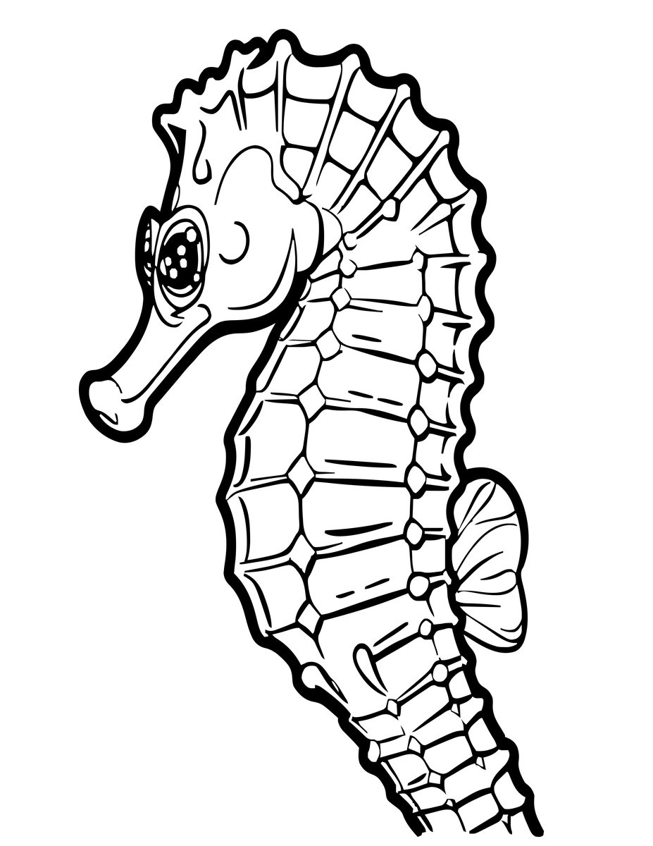 Seahorse Close-Up - free printable coloring page