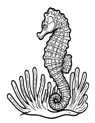 Seahorse and Anemone - Free printable coloring page