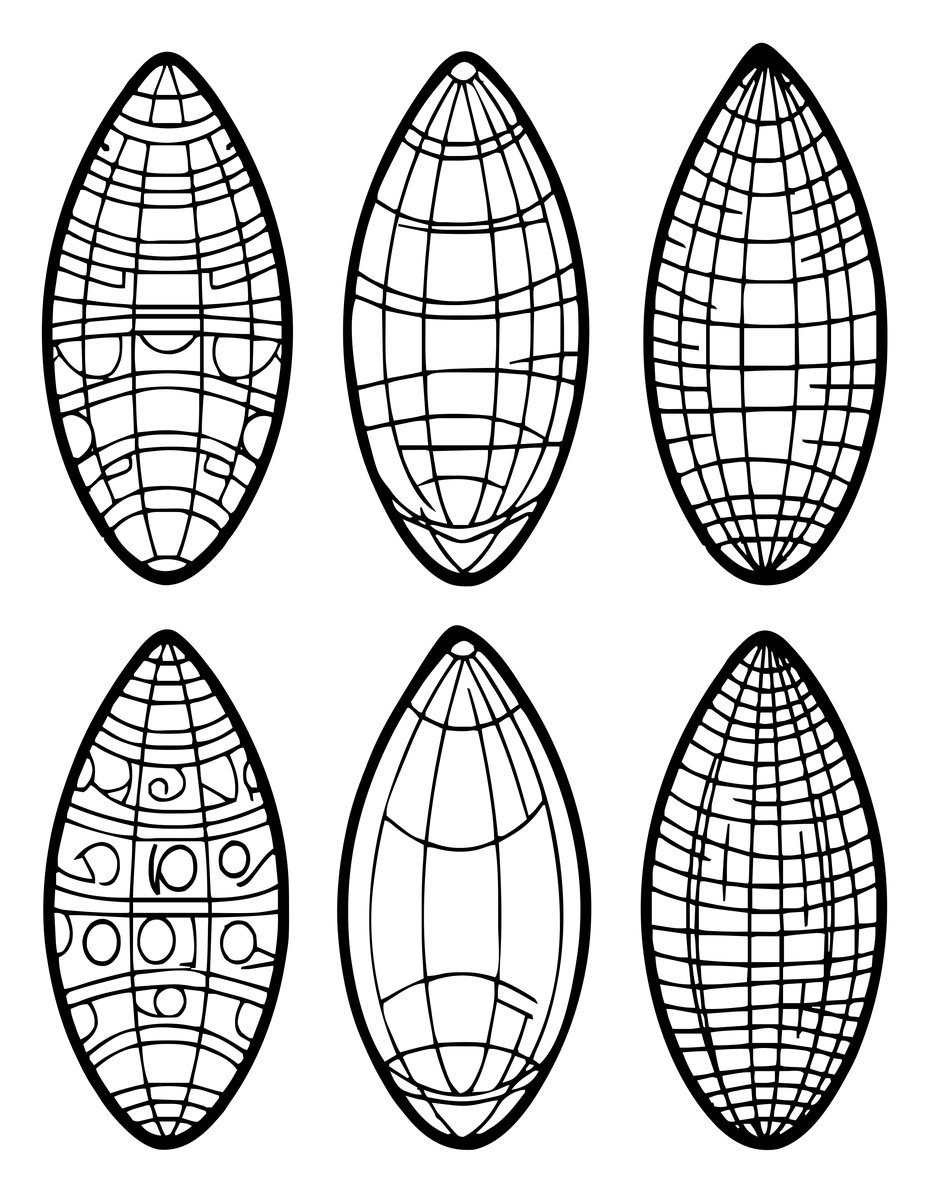 Olive Shell - free printable coloring page