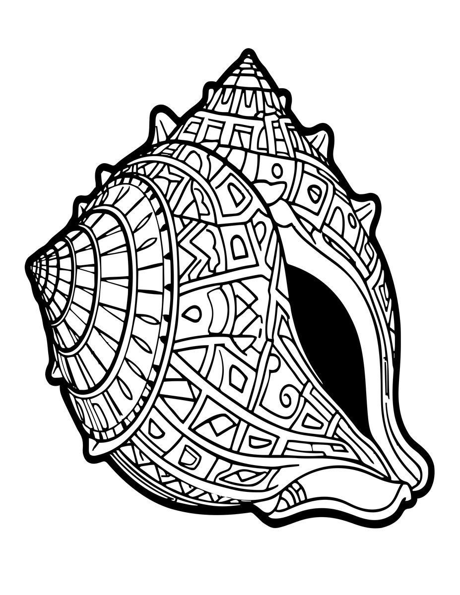 Cone Shell - free printable coloring page