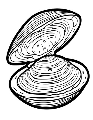 Clam Pair - Free printable coloring page