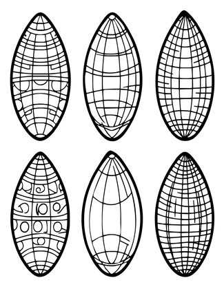 Olive Shell - Free printable coloring page