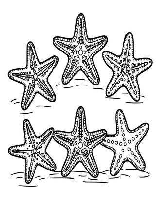Starfish Group - Free printable coloring page