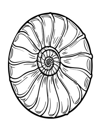 Paper Nautilus - Free printable coloring page