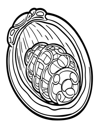 Abalone Interior - Free printable coloring page
