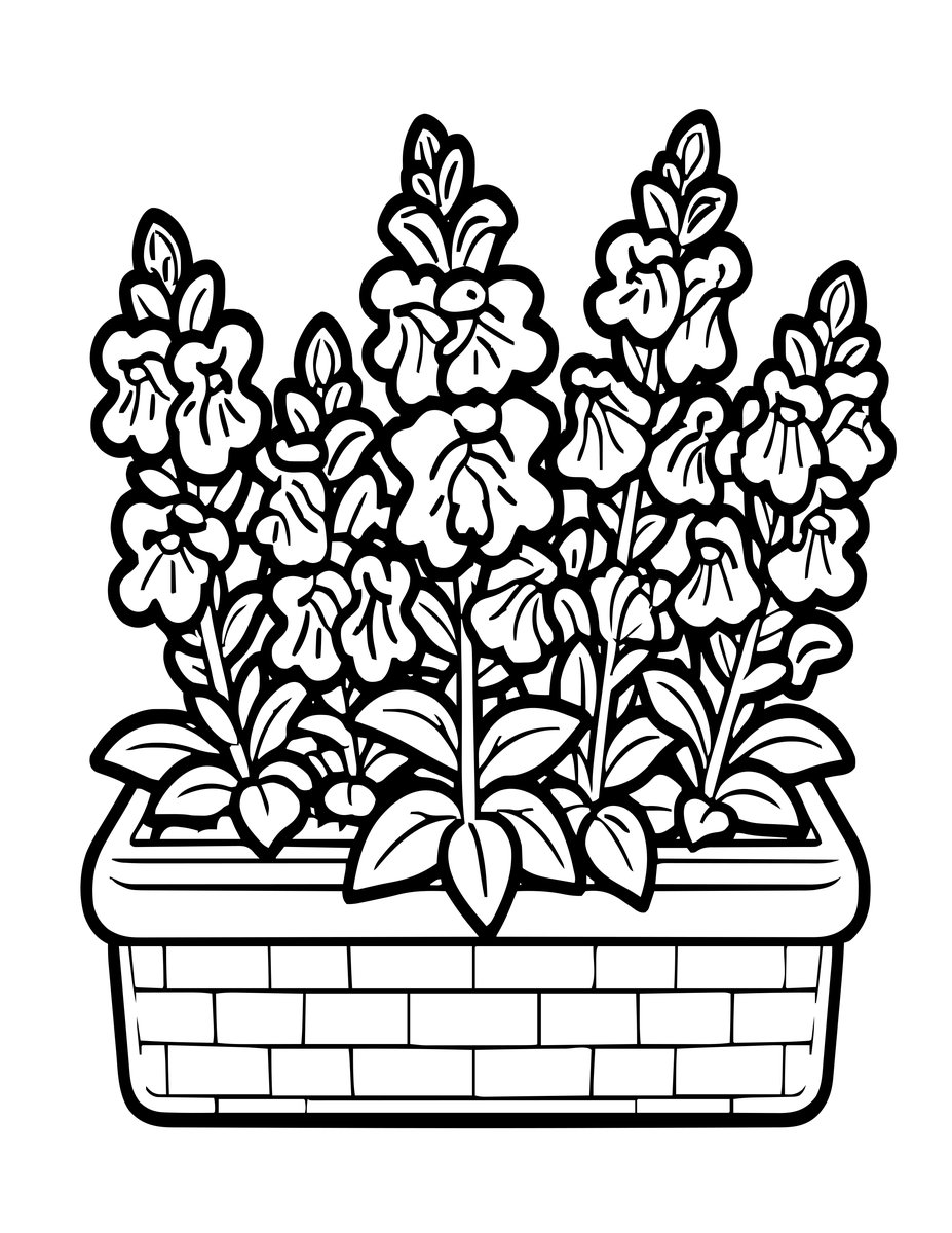 Dwarf Snaps - free printable coloring page