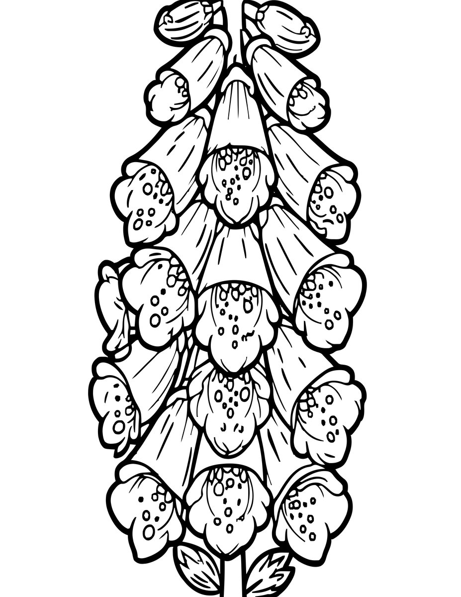 Pressed Botanical - free printable coloring page