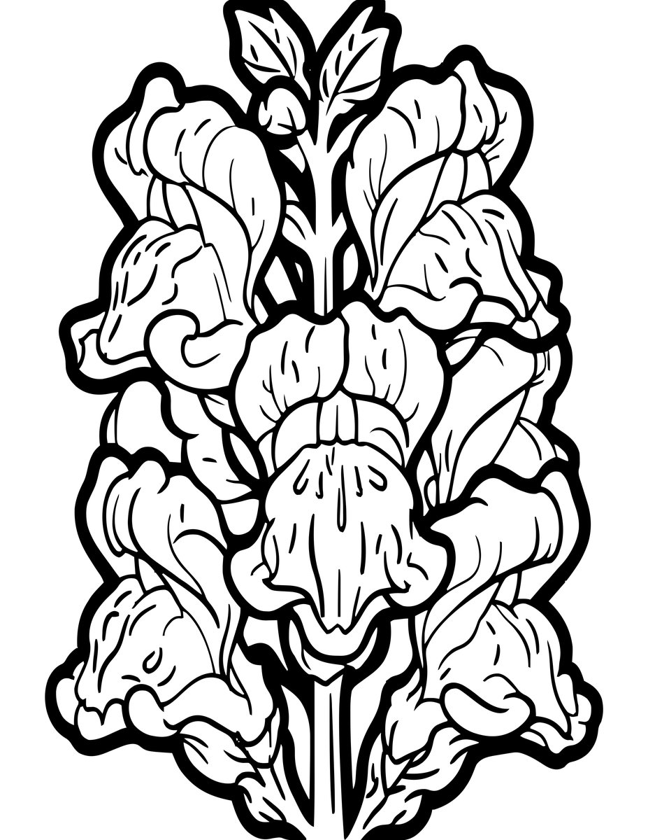 Snap Close-Up - free printable coloring page