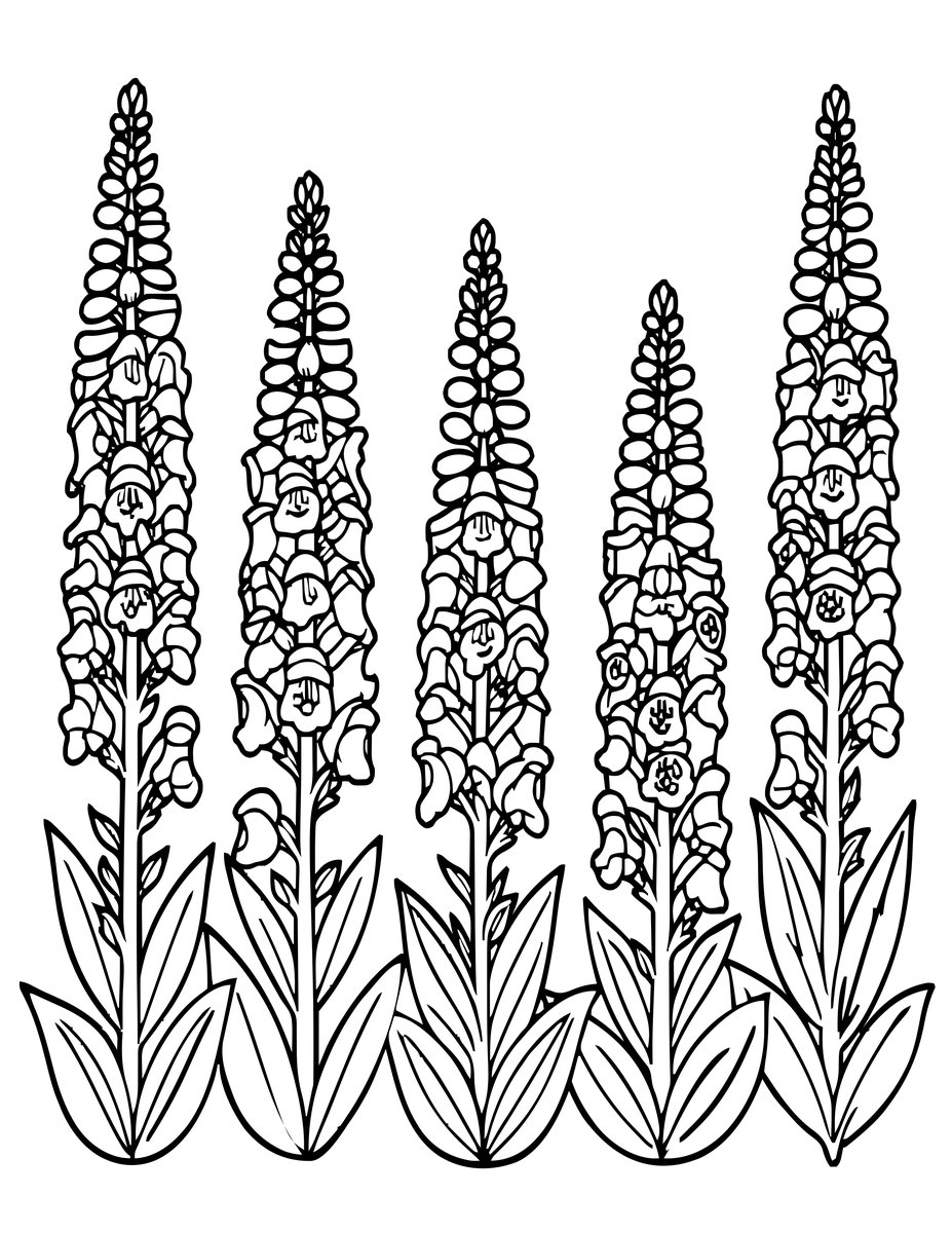 Mixed Border - free printable coloring page
