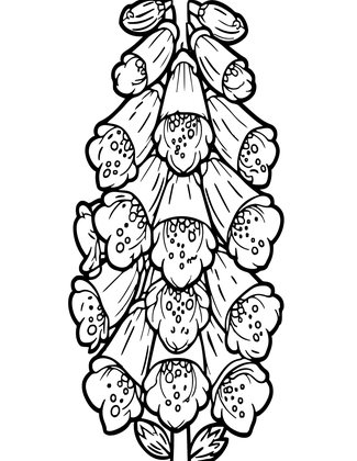 Pressed Botanical - Free printable coloring page
