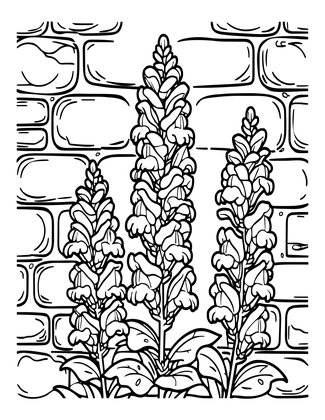 Climbing Wall - Free printable coloring page