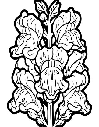 Snap Close-Up - Free printable coloring page