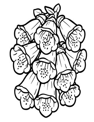 White Foxglove - Free printable coloring page
