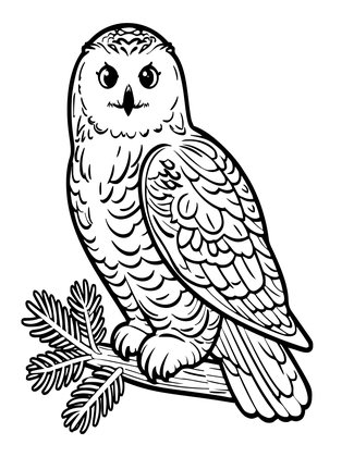 Perched Owl - Free printable coloring page
