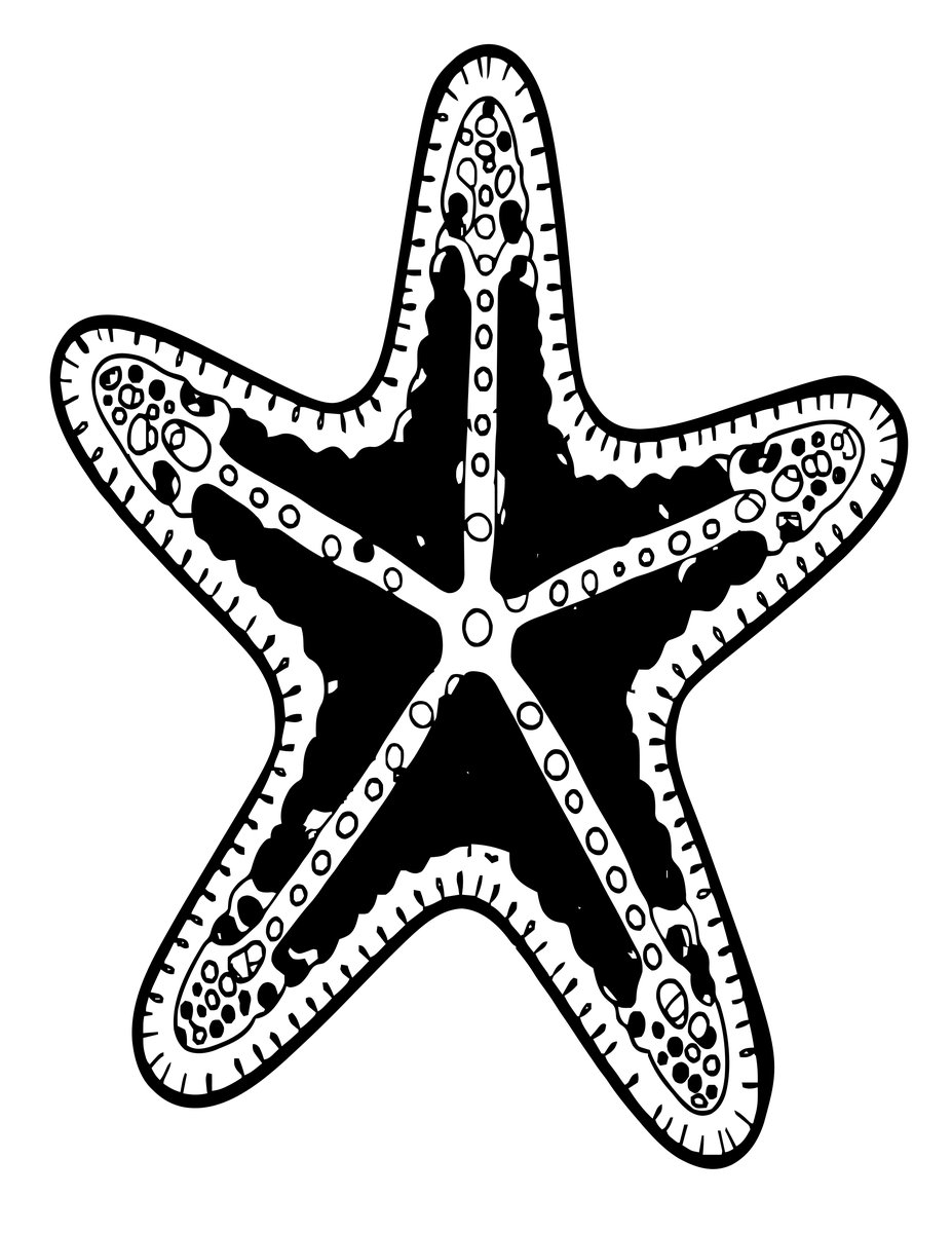 Mottled Sea Star - free printable coloring page