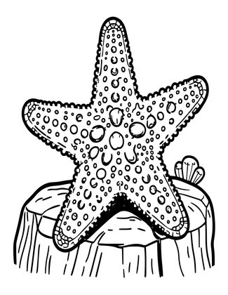 Giant Spiny Star - Free printable coloring page
