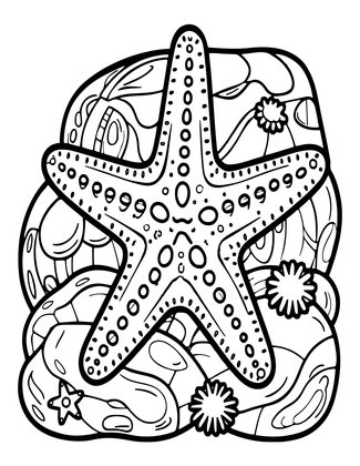 Rock Pool Portrait - Free printable coloring page