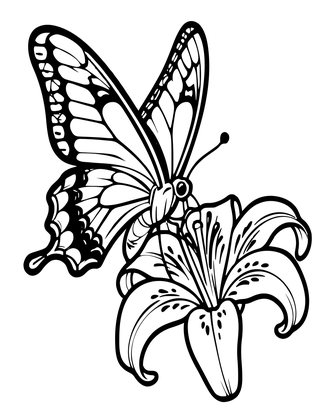 Lily and Butterfly - Free printable coloring page