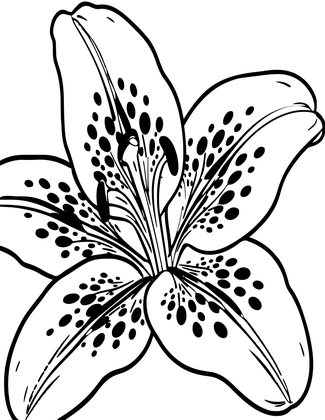 Spotted Petal Detail - Free printable coloring page