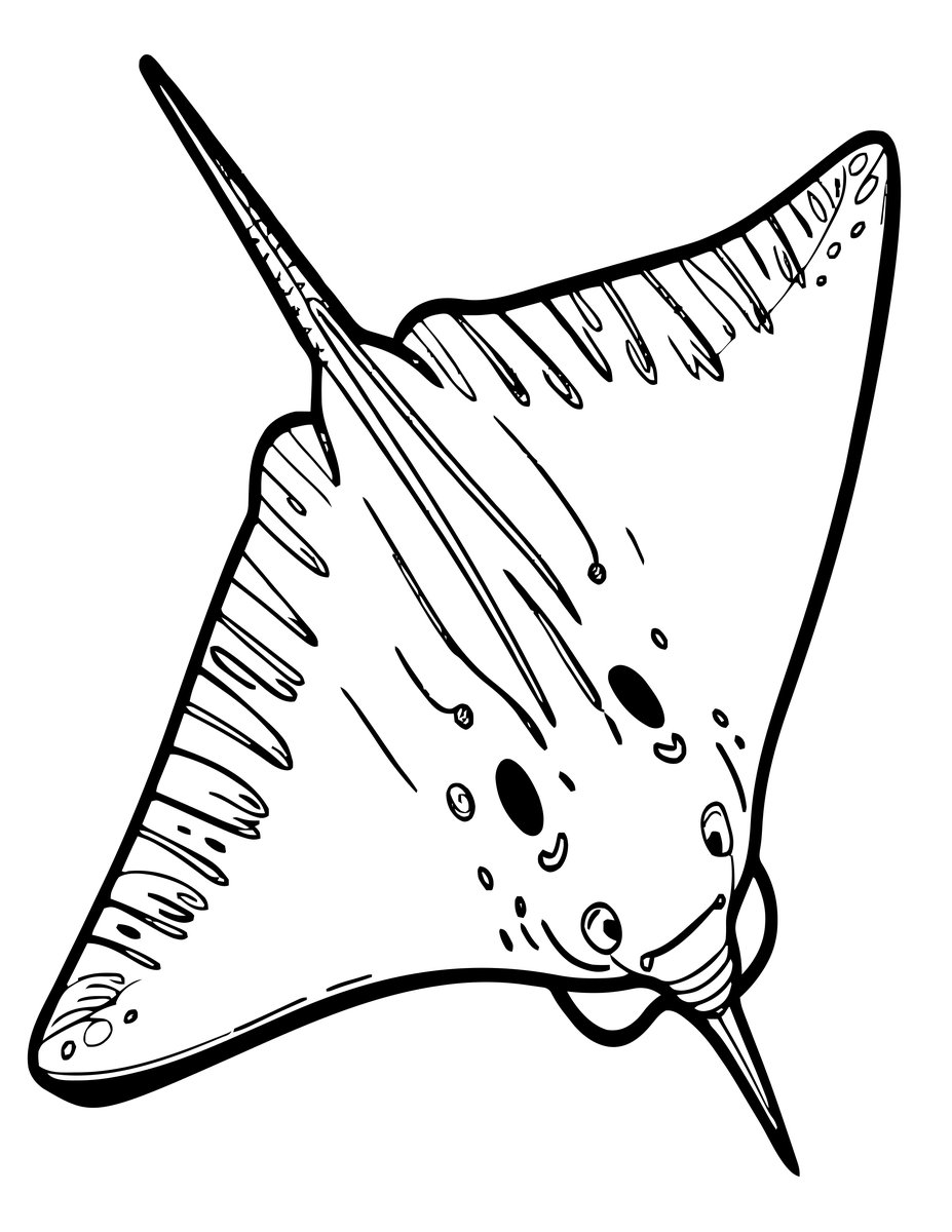 Ray Underside - free printable coloring page