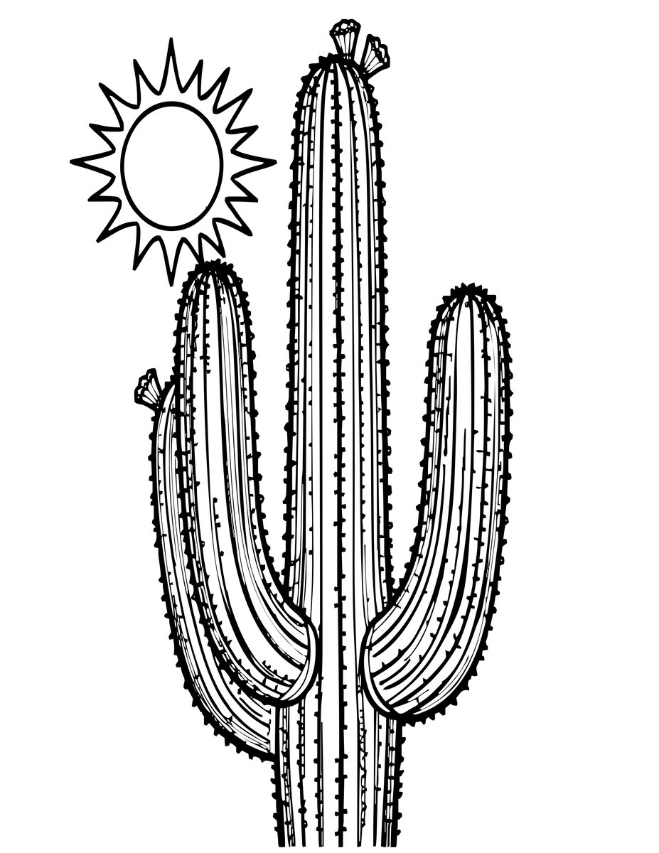 Saguaro Cactus - free printable coloring page