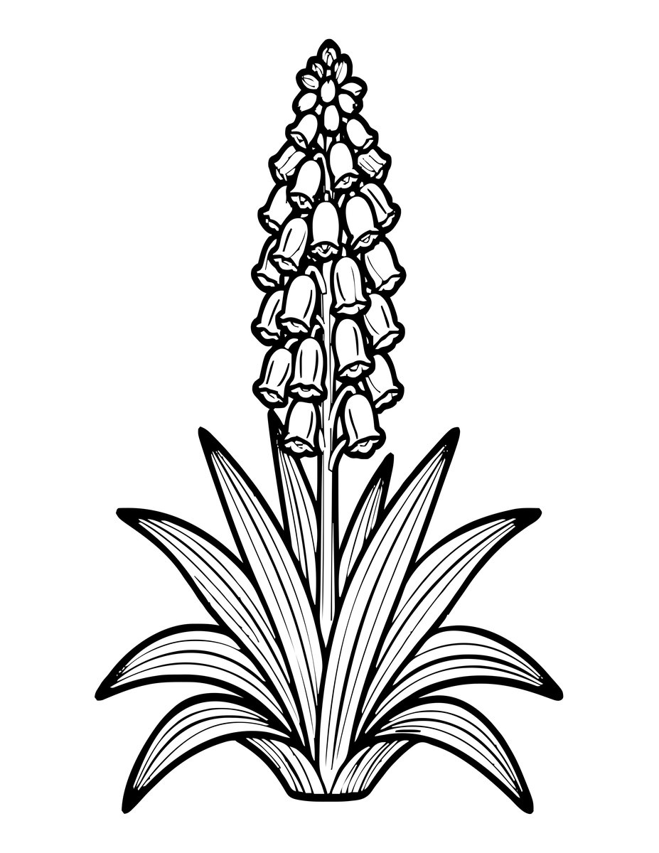 Yucca Plant - free printable coloring page