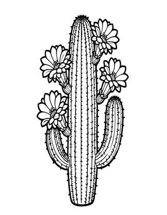 Cereus Cactus - Free printable coloring page