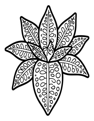 Gasteria - Free printable coloring page