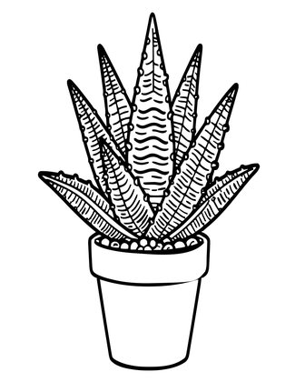 Aloe Vera - Free printable coloring page
