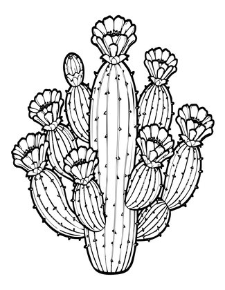Opuntia in Bloom - Free printable coloring page