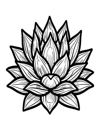 Haworthia - Free printable coloring page