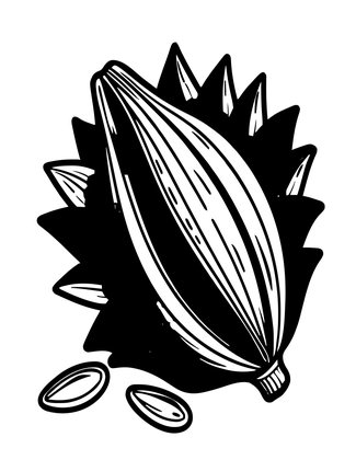 Dried Sunflower - Free printable coloring page