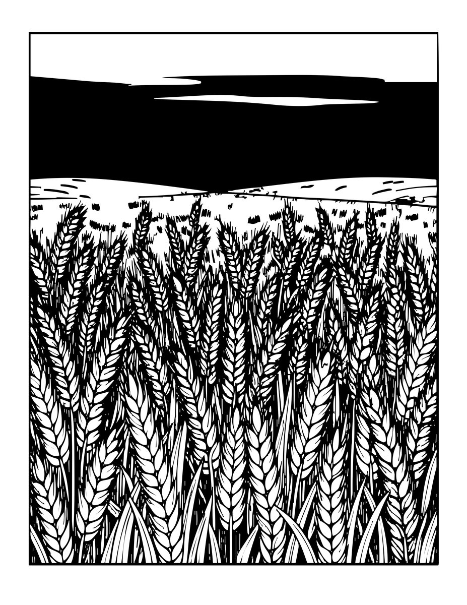 Wheat Field Sunset - free printable coloring page