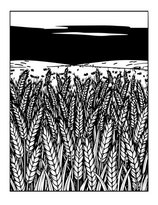 Wheat Field Sunset - Free printable coloring page