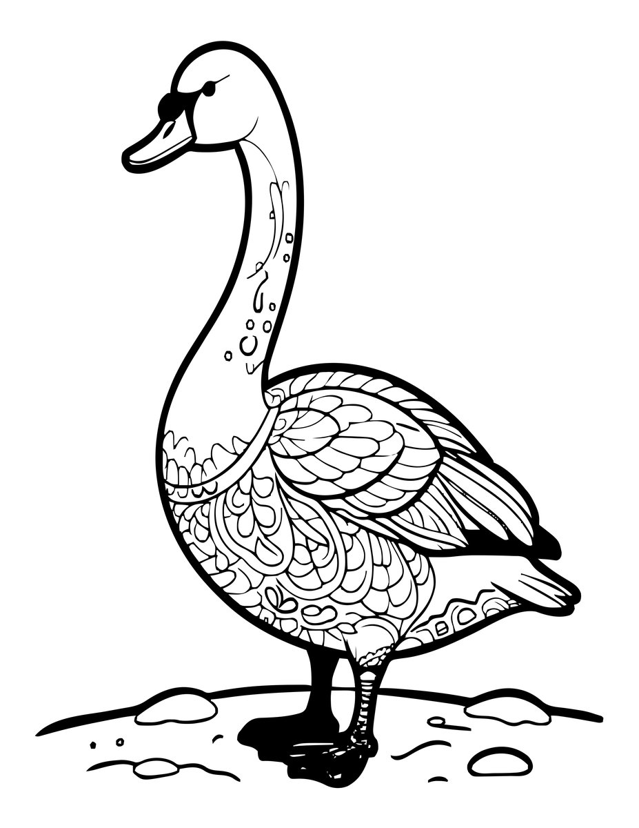 Trumpeter Swan - free printable coloring page
