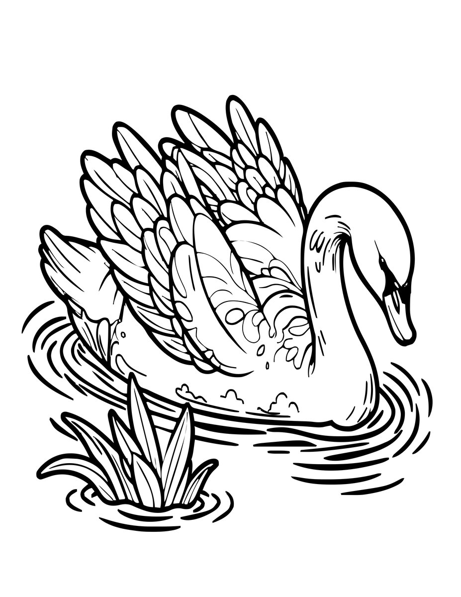 Swan Feeding - free printable coloring page