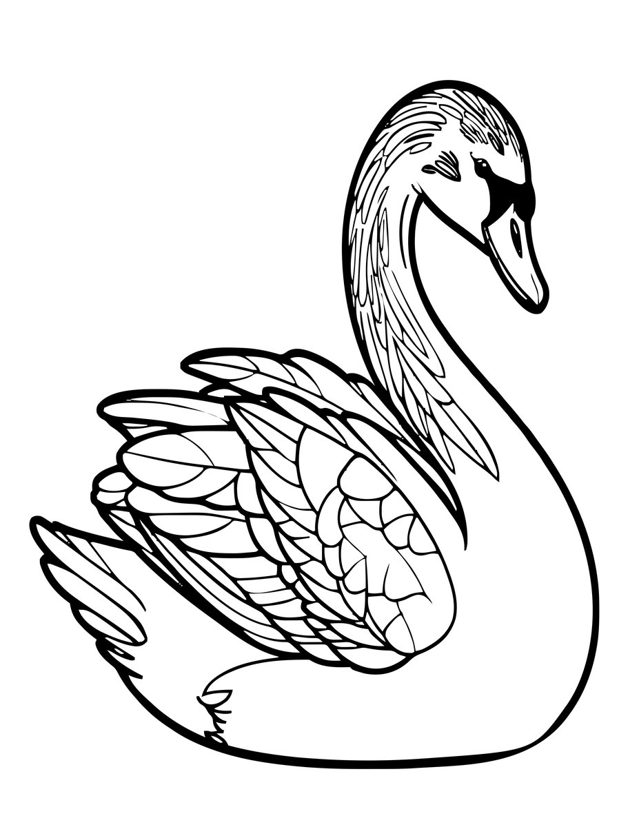 Swan Preening - free printable coloring page