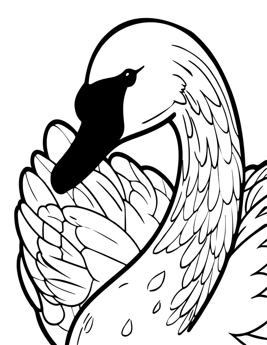 Mute Swan - free printable coloring page