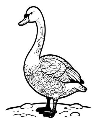 Trumpeter Swan - Free printable coloring page