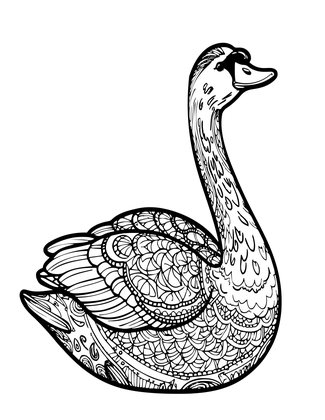Whooper Swan - Free printable coloring page