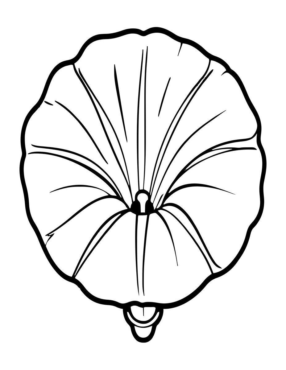 Moonflower at Night - free printable coloring page