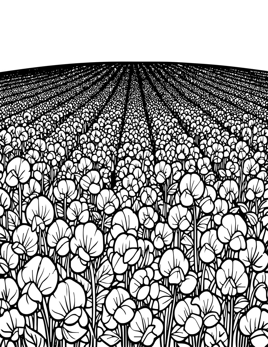 Sweet Pea Field - free printable coloring page